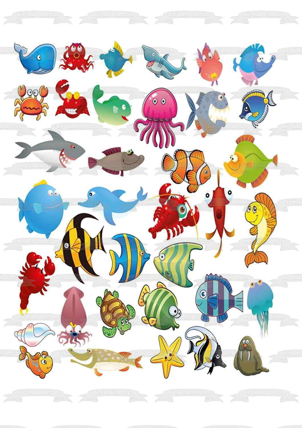Fish Ocean Sea Creatures Life Edible Cake Topper Image ABPID00077V1