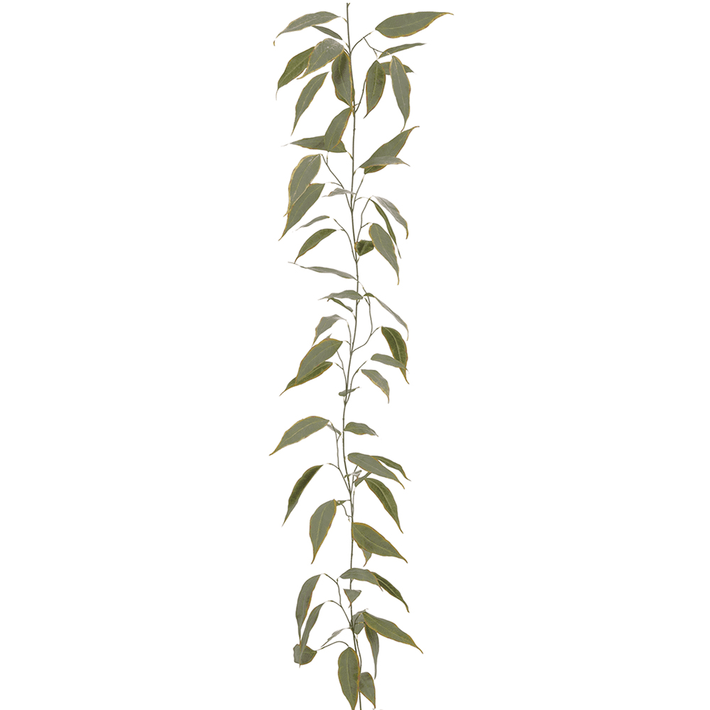 Park Place - 6 piece Eucalyptus Garland 6'