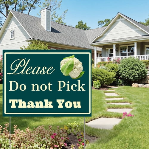 ZXCXRQFa Please Do Not Pick Cauliflower Yard Sign With Stake,Private Property Vegetable Sign Plant Markes for Lawn Yard Farm 9 x 12 Inches Sturdy Rust Free Weatherproof,Easy to Install