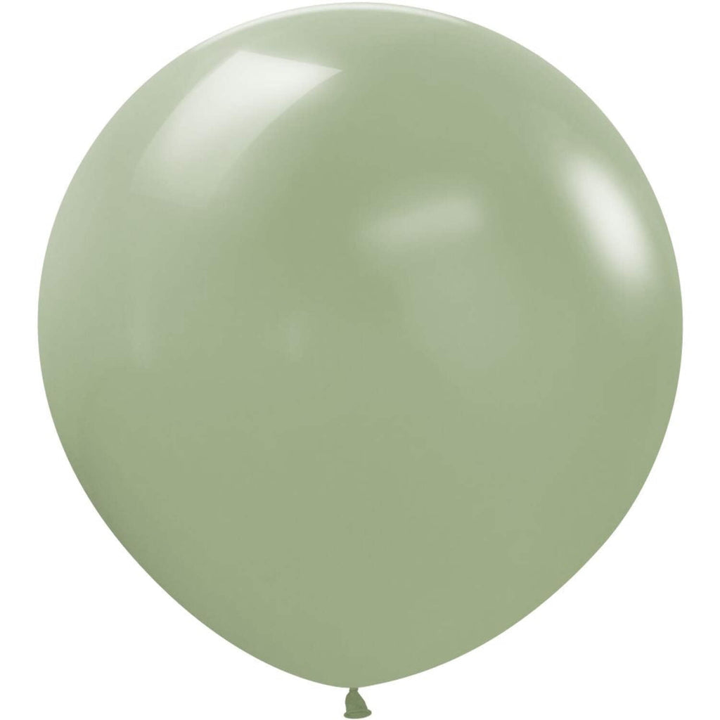 24 inch Sempertex Deluxe Eucalyptus Green Latex Balloons (10 Pack) - Party Supplies Decorations