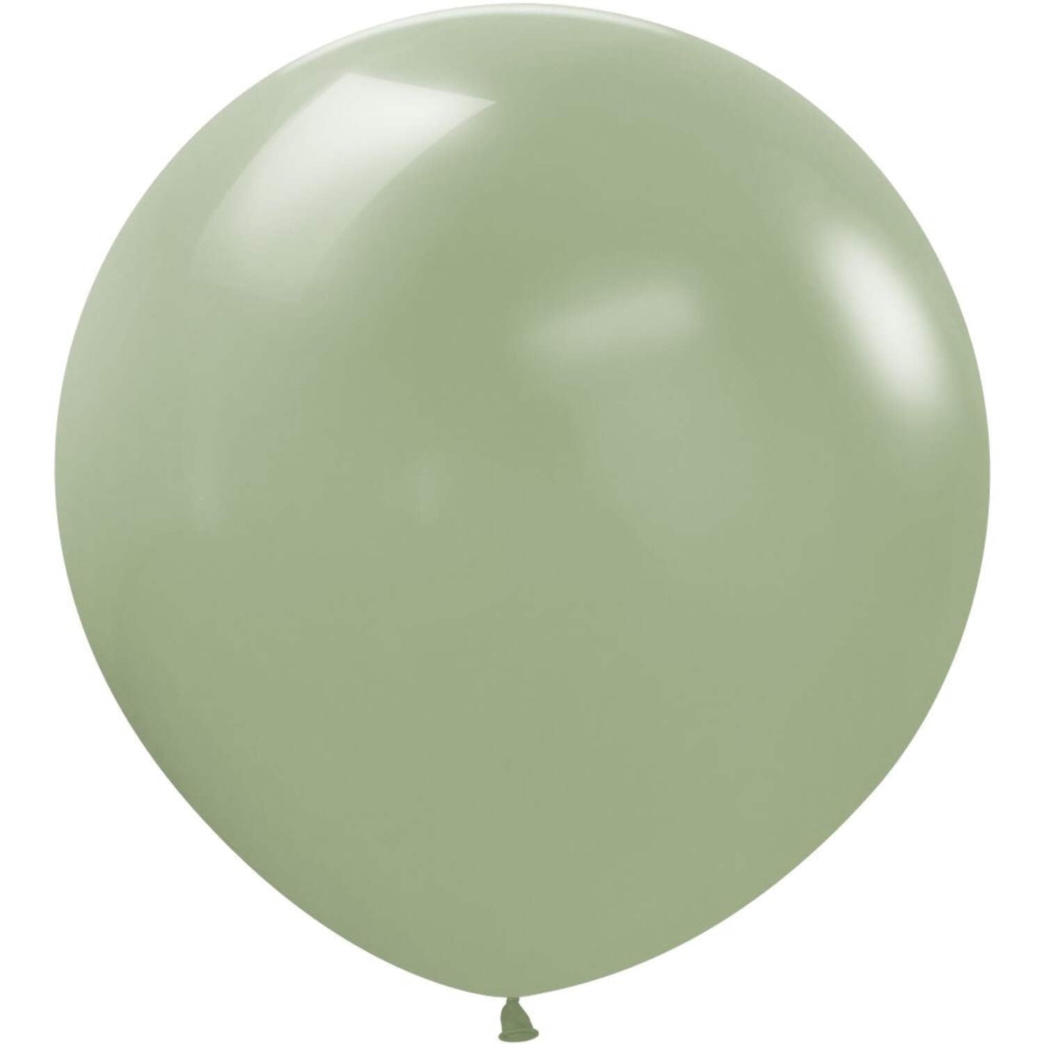 24 inch Sempertex Deluxe Eucalyptus Green Latex Balloons (10 Pack) - Party Supplies Decorations