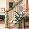 Puleo International 60" Artificial Mistletoe Spring Garland with Berries, Green/Yellow