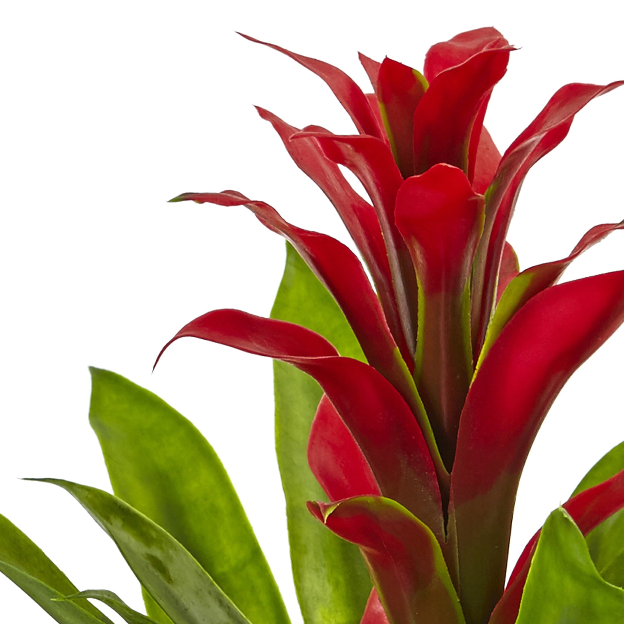 Nearly Natural Red Bromeliad with Vase Centerpiece