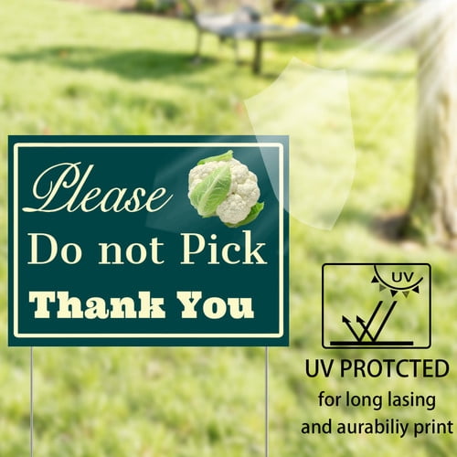 ZXCXRQFa Please Do Not Pick Cauliflower Yard Sign With Stake,Private Property Vegetable Sign Plant Markes for Lawn Yard Farm 9 x 12 Inches Sturdy Rust Free Weatherproof,Easy to Install