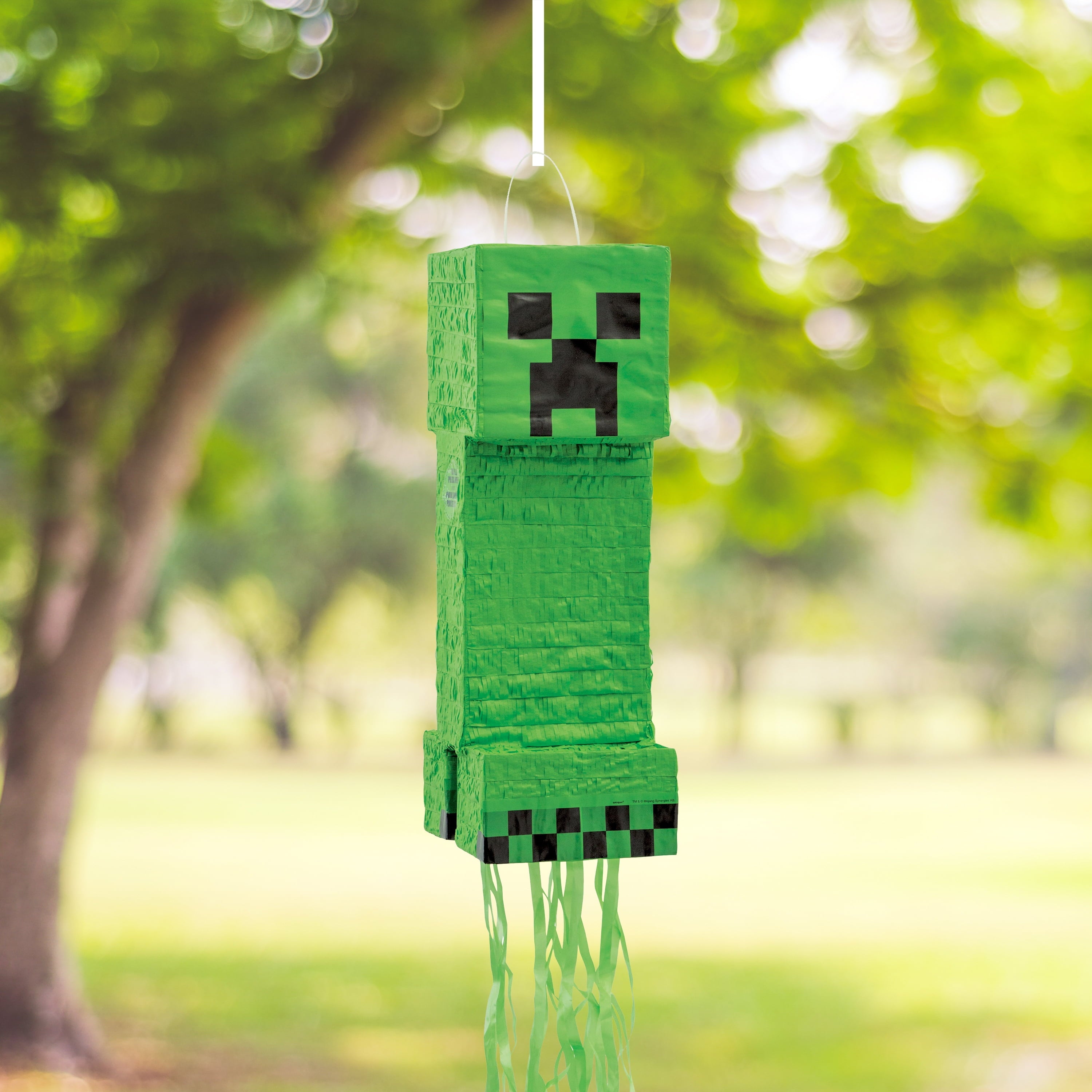 Minecraft Pull String Pinata