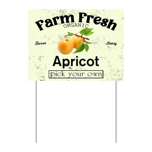 ZXCXRQFa Mango Yard Sign With Stake, Farm Fresh Organic Sweet Juicy Mango Fruit Pick Your Own Sign for Lawn Yard Farm 9 x 12 Inches Sturdy Rust Free Weatherproof Outdoor Use,Easy to Install