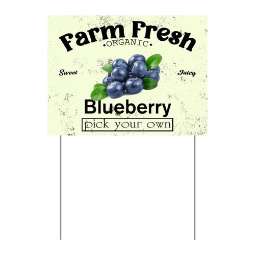 ZXCXRQFa Mango Yard Sign With Stake, Farm Fresh Organic Sweet Juicy Mango Fruit Pick Your Own Sign for Lawn Yard Farm 9 x 12 Inches Sturdy Rust Free Weatherproof Outdoor Use,Easy to Install
