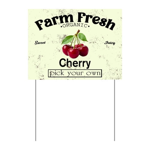 ZXCXRQFa Mango Yard Sign With Stake, Farm Fresh Organic Sweet Juicy Mango Fruit Pick Your Own Sign for Lawn Yard Farm 9 x 12 Inches Sturdy Rust Free Weatherproof Outdoor Use,Easy to Install