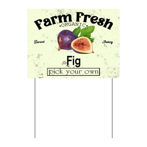 ZXCXRQFa Mango Yard Sign With Stake, Farm Fresh Organic Sweet Juicy Mango Fruit Pick Your Own Sign for Lawn Yard Farm 9 x 12 Inches Sturdy Rust Free Weatherproof Outdoor Use,Easy to Install