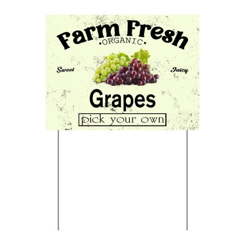 ZXCXRQFa Mango Yard Sign With Stake, Farm Fresh Organic Sweet Juicy Mango Fruit Pick Your Own Sign for Lawn Yard Farm 9 x 12 Inches Sturdy Rust Free Weatherproof Outdoor Use,Easy to Install