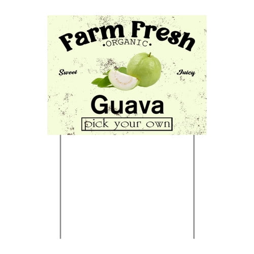 ZXCXRQFa Mango Yard Sign With Stake, Farm Fresh Organic Sweet Juicy Mango Fruit Pick Your Own Sign for Lawn Yard Farm 9 x 12 Inches Sturdy Rust Free Weatherproof Outdoor Use,Easy to Install