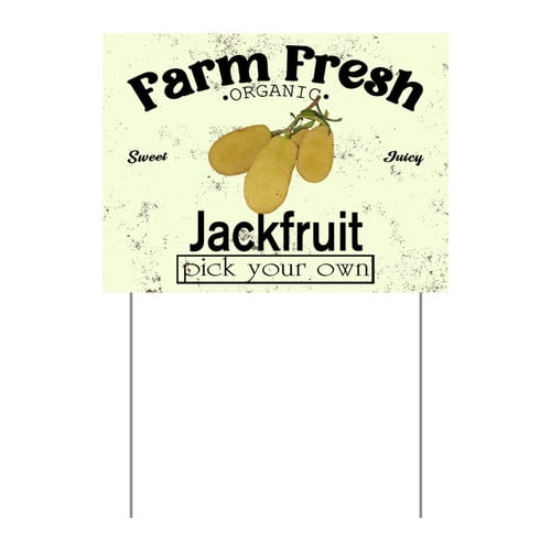 ZXCXRQFa Mango Yard Sign With Stake, Farm Fresh Organic Sweet Juicy Mango Fruit Pick Your Own Sign for Lawn Yard Farm 9 x 12 Inches Sturdy Rust Free Weatherproof Outdoor Use,Easy to Install
