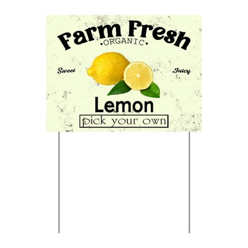 ZXCXRQFa Mango Yard Sign With Stake, Farm Fresh Organic Sweet Juicy Mango Fruit Pick Your Own Sign for Lawn Yard Farm 9 x 12 Inches Sturdy Rust Free Weatherproof Outdoor Use,Easy to Install