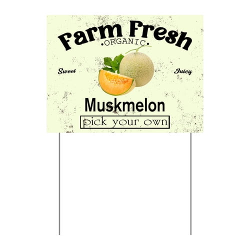 ZXCXRQFa Mango Yard Sign With Stake, Farm Fresh Organic Sweet Juicy Mango Fruit Pick Your Own Sign for Lawn Yard Farm 9 x 12 Inches Sturdy Rust Free Weatherproof Outdoor Use,Easy to Install