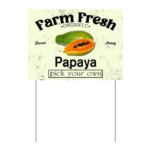 ZXCXRQFa Mango Yard Sign With Stake, Farm Fresh Organic Sweet Juicy Mango Fruit Pick Your Own Sign for Lawn Yard Farm 9 x 12 Inches Sturdy Rust Free Weatherproof Outdoor Use,Easy to Install