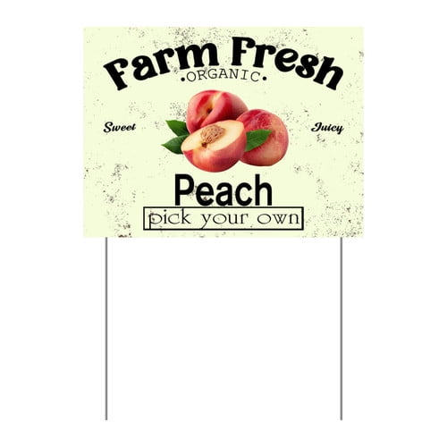 ZXCXRQFa Mango Yard Sign With Stake, Farm Fresh Organic Sweet Juicy Mango Fruit Pick Your Own Sign for Lawn Yard Farm 9 x 12 Inches Sturdy Rust Free Weatherproof Outdoor Use,Easy to Install