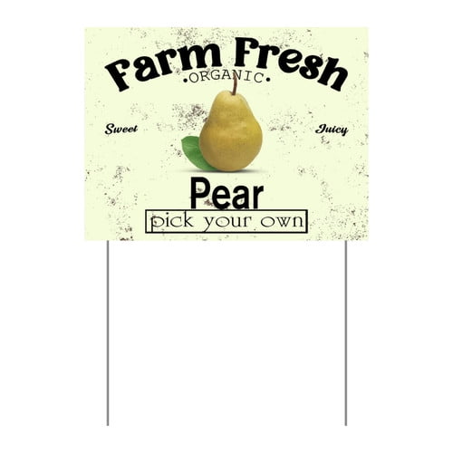 ZXCXRQFa Mango Yard Sign With Stake, Farm Fresh Organic Sweet Juicy Mango Fruit Pick Your Own Sign for Lawn Yard Farm 9 x 12 Inches Sturdy Rust Free Weatherproof Outdoor Use,Easy to Install