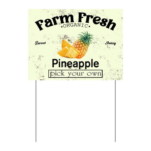 ZXCXRQFa Mango Yard Sign With Stake, Farm Fresh Organic Sweet Juicy Mango Fruit Pick Your Own Sign for Lawn Yard Farm 9 x 12 Inches Sturdy Rust Free Weatherproof Outdoor Use,Easy to Install