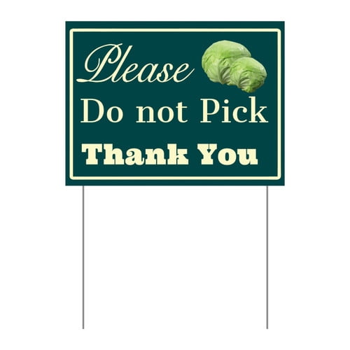 ZXCXRQFa Please Do Not Pick Coriander Yard Sign With Stake,Private Property Vegetable Sign Plant Markes for Lawn Yard Farm 9 x 12 Inches Sturdy Rust Free Weatherproof,Easy to Install