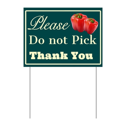 ZXCXRQFa Please Do Not Pick Coriander Yard Sign With Stake,Private Property Vegetable Sign Plant Markes for Lawn Yard Farm 9 x 12 Inches Sturdy Rust Free Weatherproof,Easy to Install
