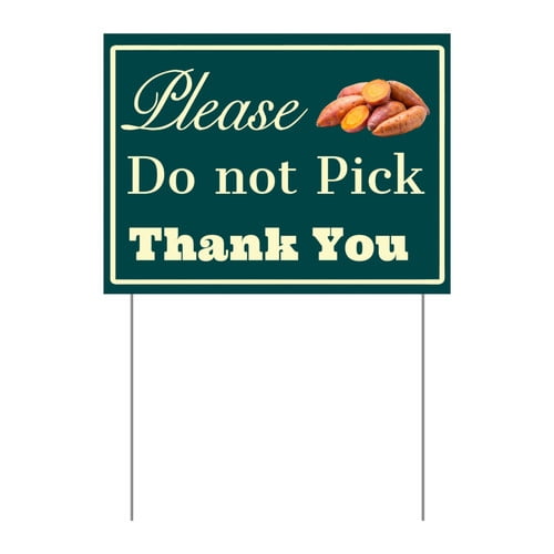 ZXCXRQFa Please Do Not Pick Coriander Yard Sign With Stake,Private Property Vegetable Sign Plant Markes for Lawn Yard Farm 9 x 12 Inches Sturdy Rust Free Weatherproof,Easy to Install