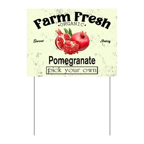 ZXCXRQFa Mango Yard Sign With Stake, Farm Fresh Organic Sweet Juicy Mango Fruit Pick Your Own Sign for Lawn Yard Farm 9 x 12 Inches Sturdy Rust Free Weatherproof Outdoor Use,Easy to Install