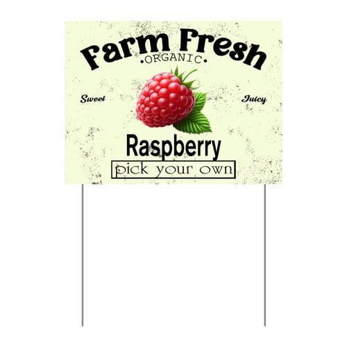 ZXCXRQFa Mango Yard Sign With Stake, Farm Fresh Organic Sweet Juicy Mango Fruit Pick Your Own Sign for Lawn Yard Farm 9 x 12 Inches Sturdy Rust Free Weatherproof Outdoor Use,Easy to Install