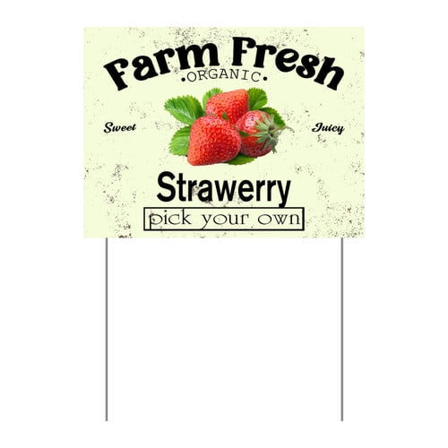 ZXCXRQFa Mango Yard Sign With Stake, Farm Fresh Organic Sweet Juicy Mango Fruit Pick Your Own Sign for Lawn Yard Farm 9 x 12 Inches Sturdy Rust Free Weatherproof Outdoor Use,Easy to Install