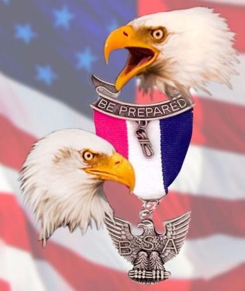 Eagle Scout Ceremony Court of Honor Be Prepared Edible Cake Topper Image - 1/2 Sheet - ABPID01679